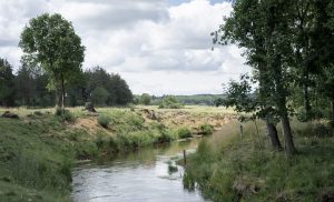 Destination Vesterhavet-27