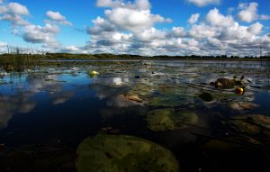 Sommer 2012 (120)